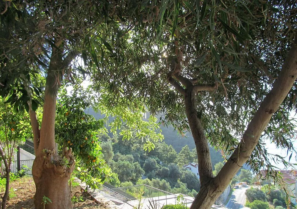 Apart Otel Serena Suites Hotel Marmaris